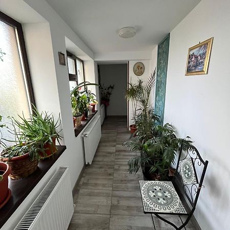 Solaria Budget Studio Галац Экстерьер фото